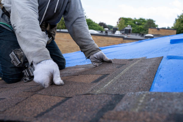 Quick and Trustworthy Emergency Roof Repair Services in Penn State Erie, PA